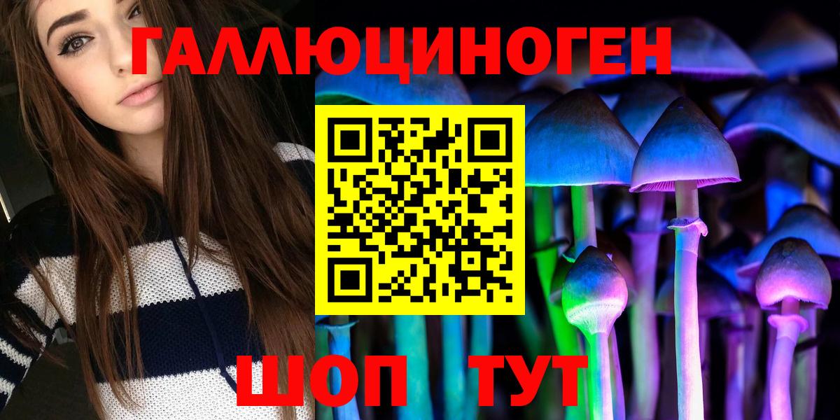 Галлюциногенные грибы Psilocybe  Псилоцибиновые грибы мицелий  Элиста  Вход с VPN 